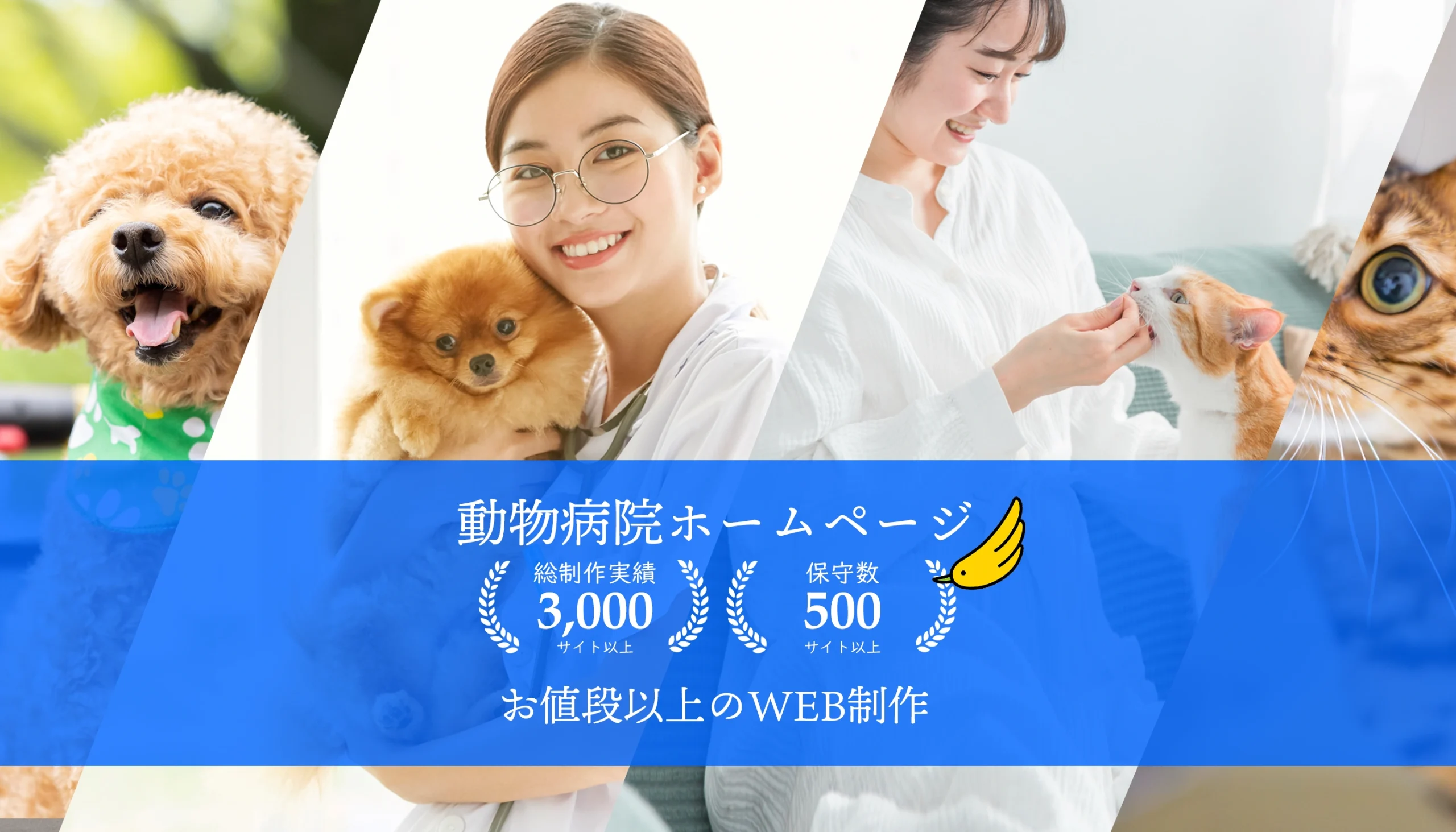 動物病院ホームページ制作デザイナー歴10年以上のスタッフがホームページ制作いたします。