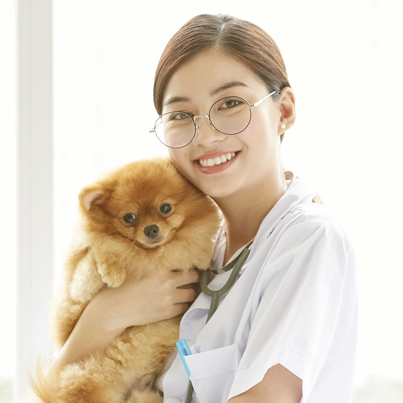 動物病院ホームページ制作